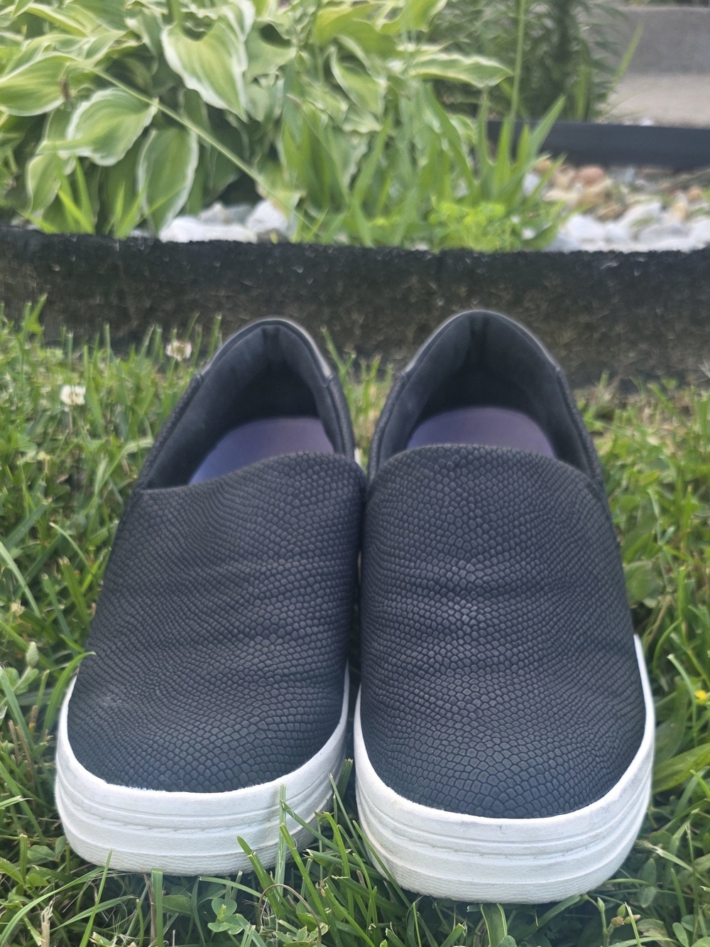 Dr. Scholl's Black Slip-On Sneakers with Purple Insoles - Picture 2 of 5